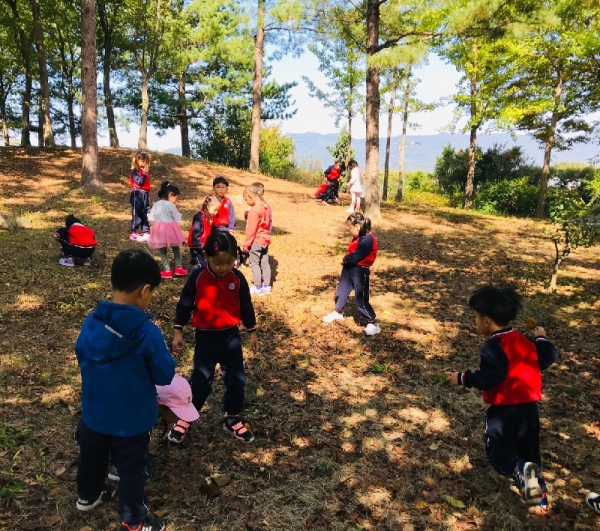 숲체험 활동을 하고 있는 아이들.