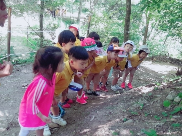 숲체험을 하고 있는 어린이들.